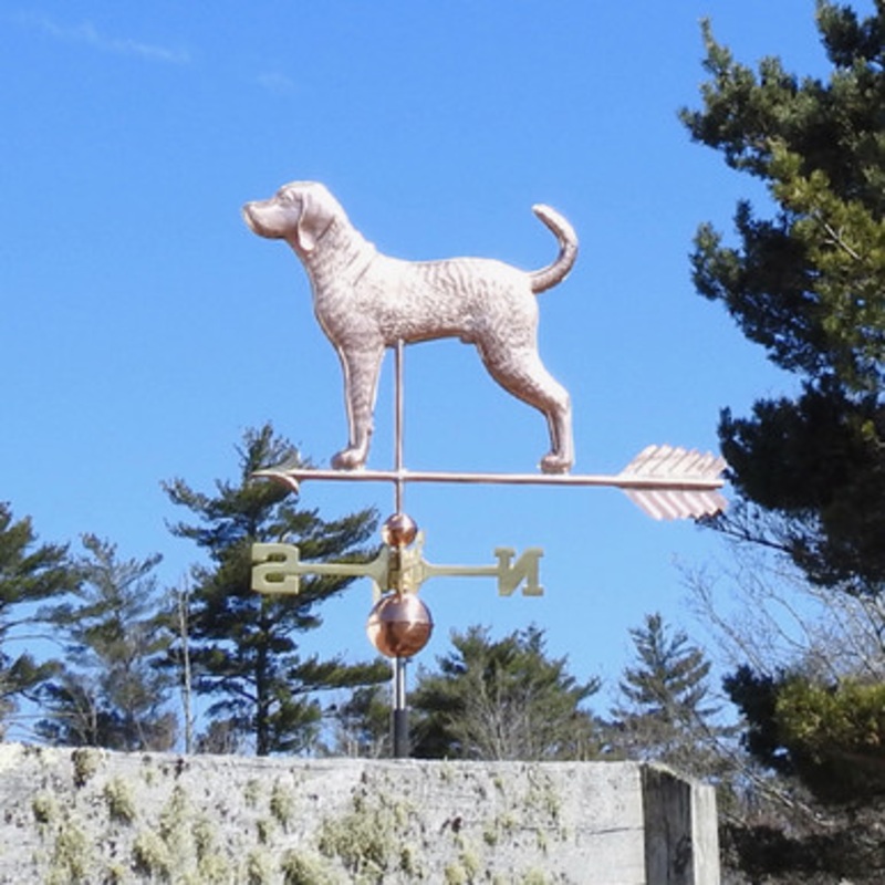 Blue Tick Hound Weathervane   340