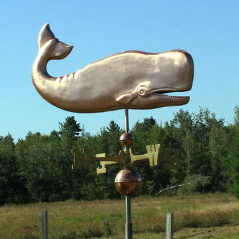 Sperm Whale Weathervane  380