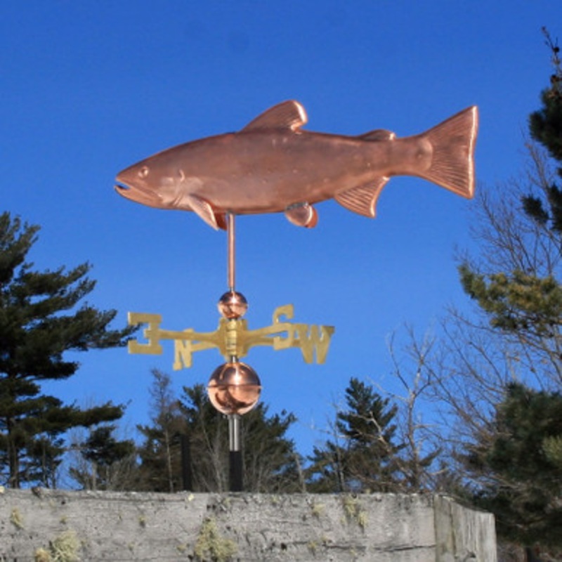 Brook Trout Weathervane  604