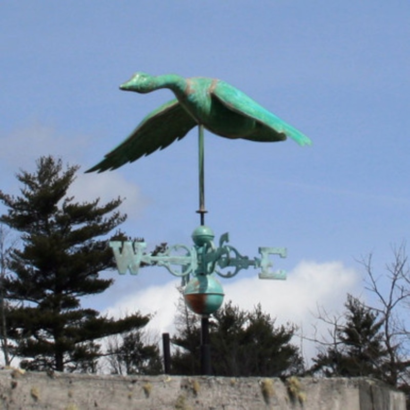 Goose Weathervane   511
